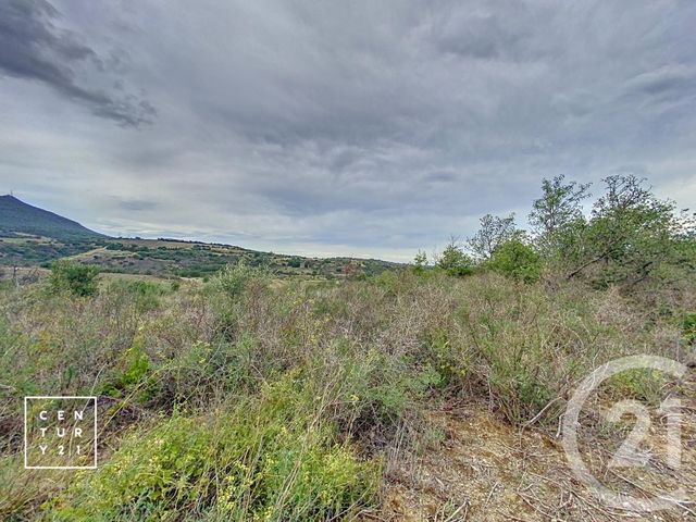 Terrain à vendre - 11802 m2 - Millas - 66 - LANGUEDOC-ROUSSILLON