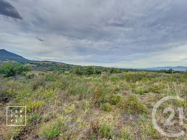Terrain à vendre - 11802 m2 - Millas - 66 - LANGUEDOC-ROUSSILLON