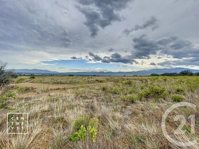 Terrain à vendre - 11802 m2 - Millas - 66 - LANGUEDOC-ROUSSILLON