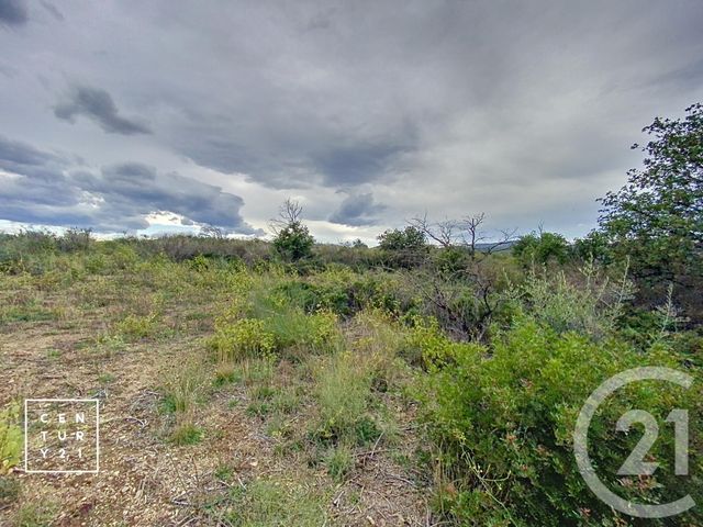 Terrain à vendre - 11802 m2 - Millas - 66 - LANGUEDOC-ROUSSILLON