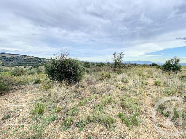 Terrain à vendre - 11802 m2 - Millas - 66 - LANGUEDOC-ROUSSILLON
