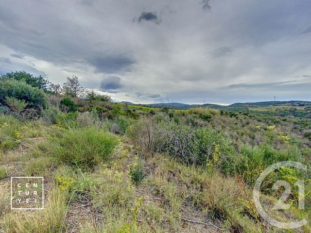 Terrain à vendre - 11802 m2 - Millas - 66 - LANGUEDOC-ROUSSILLON