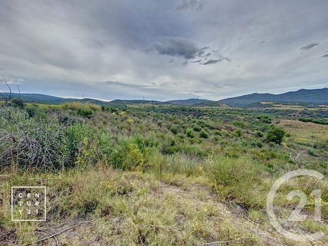Terrain à vendre - 11802 m2 - Millas - 66 - LANGUEDOC-ROUSSILLON