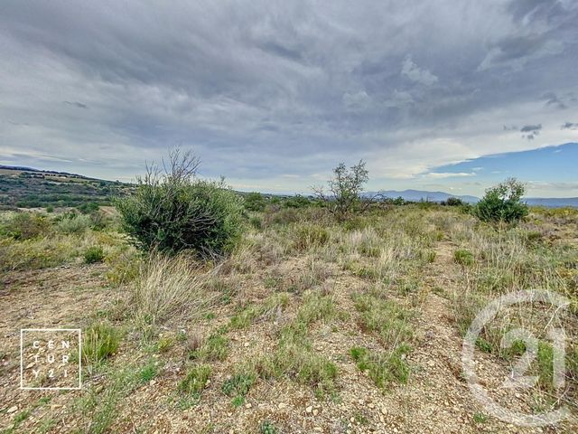 Terrain à vendre - 11802 m2 - Millas - 66 - LANGUEDOC-ROUSSILLON