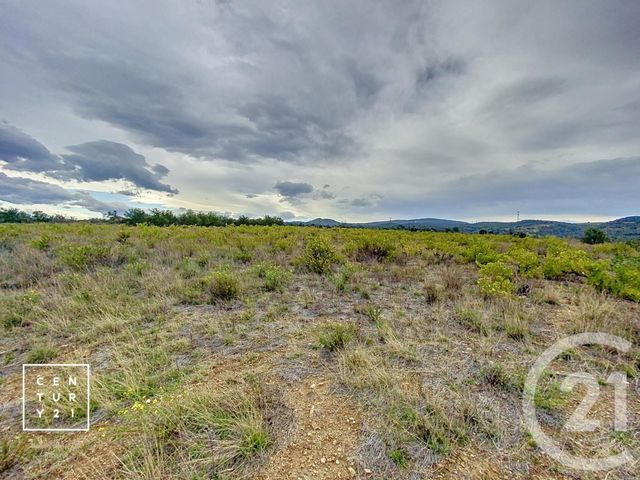 Terrain à vendre - 11802 m2 - Millas - 66 - LANGUEDOC-ROUSSILLON