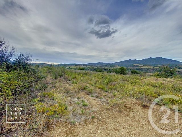 Terrain à vendre - 11802 m2 - Millas - 66 - LANGUEDOC-ROUSSILLON