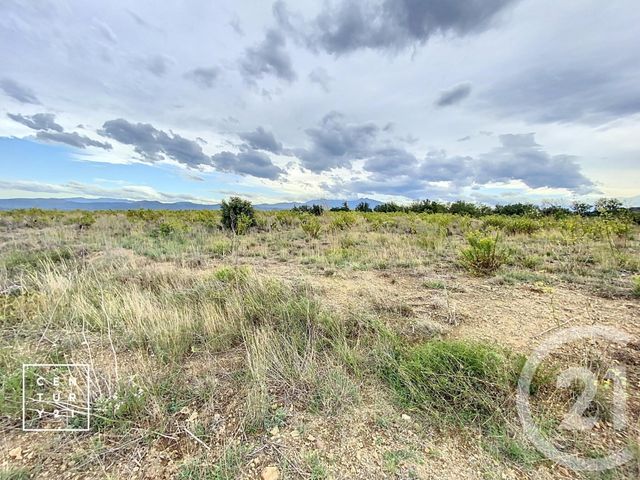 Terrain à vendre - 11802 m2 - Millas - 66 - LANGUEDOC-ROUSSILLON