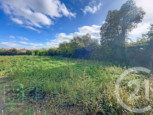 Terrain à vendre - 981 m2 - Toulouges - 66 - LANGUEDOC-ROUSSILLON