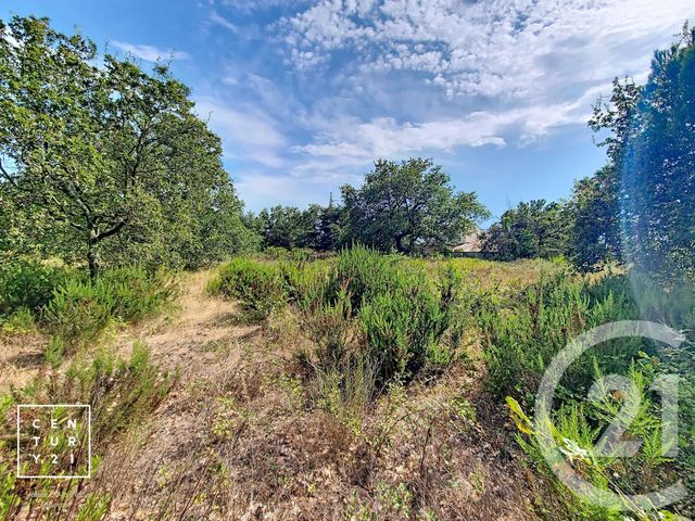 Terrain &agrave; vendre - 5055 m2 - Toulouges - 66 - LANGUEDOC-ROUSSILLON