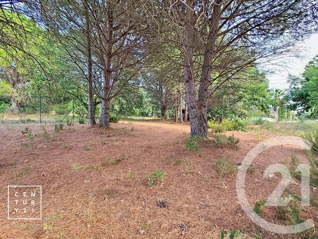 Terrain &agrave; vendre - 5055 m2 - Toulouges - 66 - LANGUEDOC-ROUSSILLON