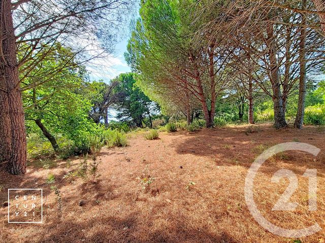 Terrain &agrave; vendre - 5055 m2 - Toulouges - 66 - LANGUEDOC-ROUSSILLON