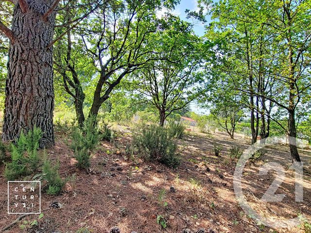 Terrain &agrave; vendre - 5055 m2 - Toulouges - 66 - LANGUEDOC-ROUSSILLON