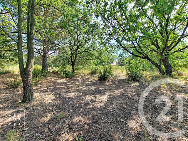 terrain - TOULOUGES - 66