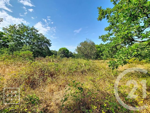 Terrain &agrave; vendre - 5055 m2 - Toulouges - 66 - LANGUEDOC-ROUSSILLON