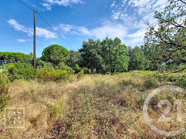 Terrain &agrave; vendre - 5055 m2 - Toulouges - 66 - LANGUEDOC-ROUSSILLON
