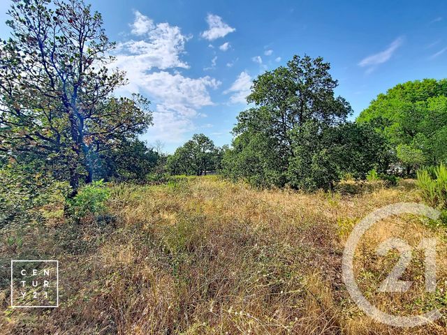 Terrain &agrave; vendre - 5055 m2 - Toulouges - 66 - LANGUEDOC-ROUSSILLON