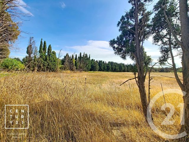 Terrain &agrave; vendre - 24425 m2 - Corneilla La Riviere - 66 - LANGUEDOC-ROUSSILLON