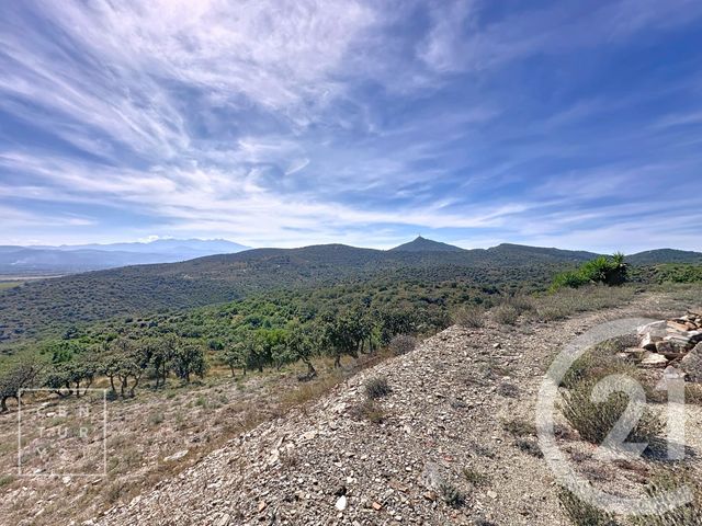 Maison à vendre - 13 pièces - 486,88 m2 - Calce - 66 - LANGUEDOC-ROUSSILLON